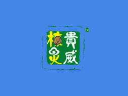 吉林省核靈食品代理商江女士 深耕吉林市場，共拓健康食品新篇章